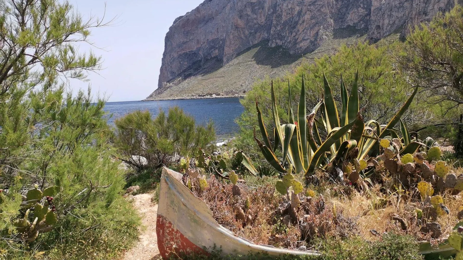 Ovidio Home باليرمو شقة